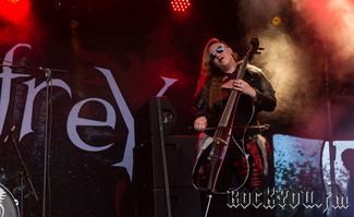IMG_0622-Vogelfrey.jpg