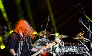 IMG_1984-Running_Wild.jpg